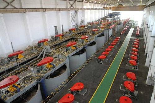 金川集團(tuán)選礦廠 跑出科技創(chuàng)新加速度，引領(lǐng)金屬礦業(yè)批發(fā)新篇章