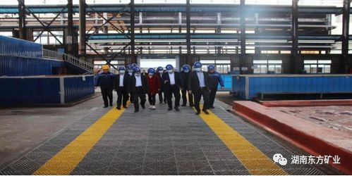 全國電解金屬錳創(chuàng)新聯(lián)盟成員單位參觀湖南東方礦業(yè)，共探金屬礦批發(fā)新機(jī)遇