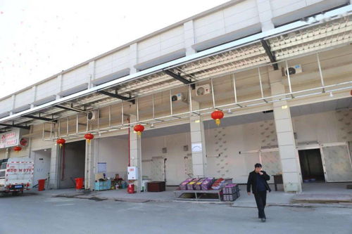 華南農(nóng)產(chǎn)品批發(fā)市場春節(jié)銷售創(chuàng)佳績，金屬及金屬礦批發(fā)業(yè)務(wù)亮點(diǎn)頻現(xiàn)